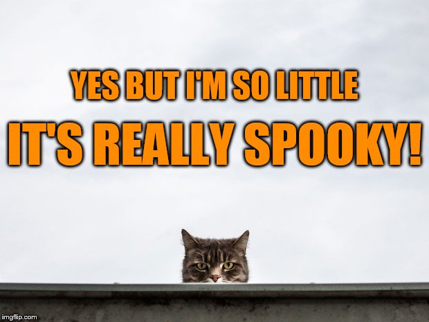 YES BUT I'M SO LITTLE IT'S REALLY SPOOKY! | made w/ Imgflip meme maker
