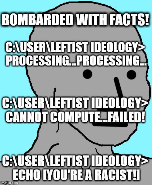 NPC Processing...  | BOMBARDED WITH FACTS! C:\USER\LEFTIST IDEOLOGY> PROCESSING...PROCESSING... C:\USER\LEFTIST IDEOLOGY> CANNOT COMPUTE...FAILED! C:\USER\LEFTIST IDEOLOGY> ECHO [YOU'RE A RACIST!] | image tagged in npc,funny,leftists,memes,political correctness | made w/ Imgflip meme maker