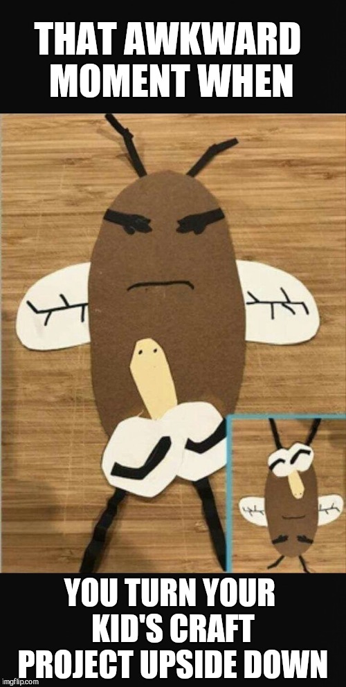 No mommy, it's a nose and eyes...  | THAT AWKWARD MOMENT WHEN; YOU TURN YOUR KID'S CRAFT PROJECT UPSIDE DOWN | image tagged in that awkward moment,epic fail,jbmemegeek,fails | made w/ Imgflip meme maker