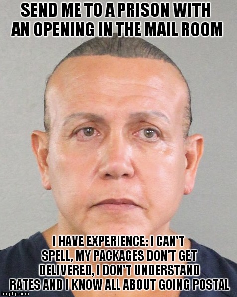 Going Postal | SEND ME TO A PRISON WITH AN OPENING IN THE MAIL ROOM; I HAVE EXPERIENCE: I CAN'T SPELL, MY PACKAGES DON'T GET DELIVERED, I DON'T UNDERSTAND RATES AND I KNOW ALL ABOUT GOING POSTAL | image tagged in cesar sayoc | made w/ Imgflip meme maker