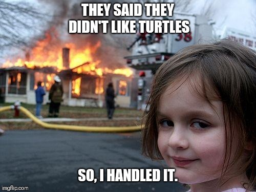 Disaster Girl | THEY SAID THEY DIDN'T LIKE TURTLES; SO, I HANDLED IT. | image tagged in memes,disaster girl | made w/ Imgflip meme maker