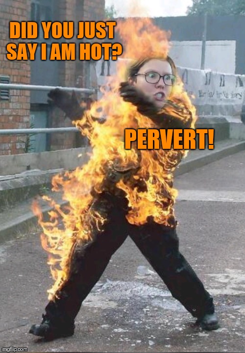 Triggered Feminist
Inspired by raydog's meme https://imgflip.com/i/2l2ag0 | DID YOU JUST SAY I AM HOT? PERVERT! | image tagged in memes,triggered feminist,raydog,fire,pervert | made w/ Imgflip meme maker