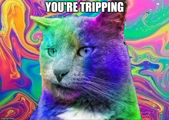 YOU'RE TRIPPING | made w/ Imgflip meme maker