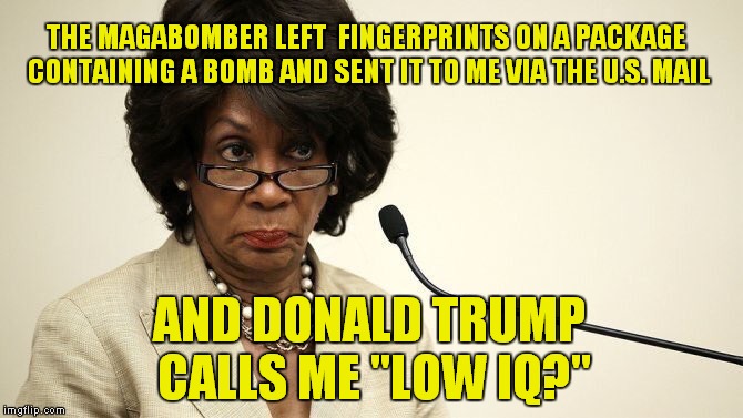 Cesar Sayoc Is The Bomb | THE MAGABOMBER LEFT  FINGERPRINTS ON A PACKAGE CONTAINING A BOMB AND SENT IT TO ME VIA THE U.S. MAIL; AND DONALD TRUMP CALLS ME "LOW IQ?" | image tagged in maxine waters,magabomber | made w/ Imgflip meme maker