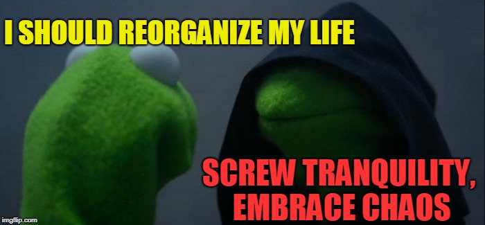 Evil Kermit Meme |  I SHOULD REORGANIZE MY LIFE; SCREW TRANQUILITY, EMBRACE CHAOS | image tagged in memes,evil kermit | made w/ Imgflip meme maker