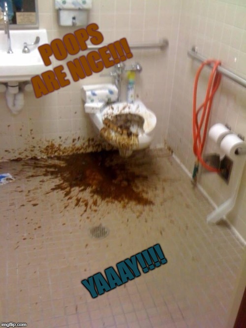 Girls poop too | POOPS ARE NICE!!! YAAAY!!!! | image tagged in girls poop too | made w/ Imgflip meme maker