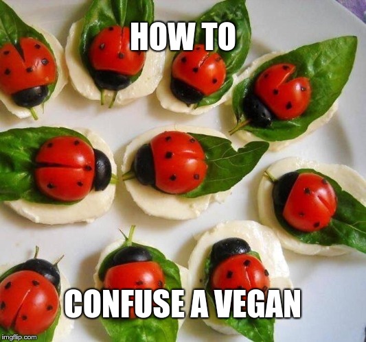How to confuse a vegan | HOW TO; CONFUSE A VEGAN | image tagged in vegan,ladybug | made w/ Imgflip meme maker