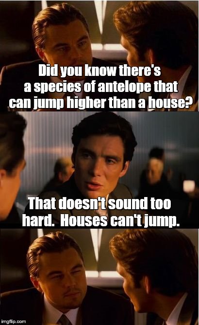 Inception Meme |  Did you know there's a species of antelope that can jump higher than a house? That doesn't sound too hard.  Houses can't jump. | image tagged in memes,inception | made w/ Imgflip meme maker