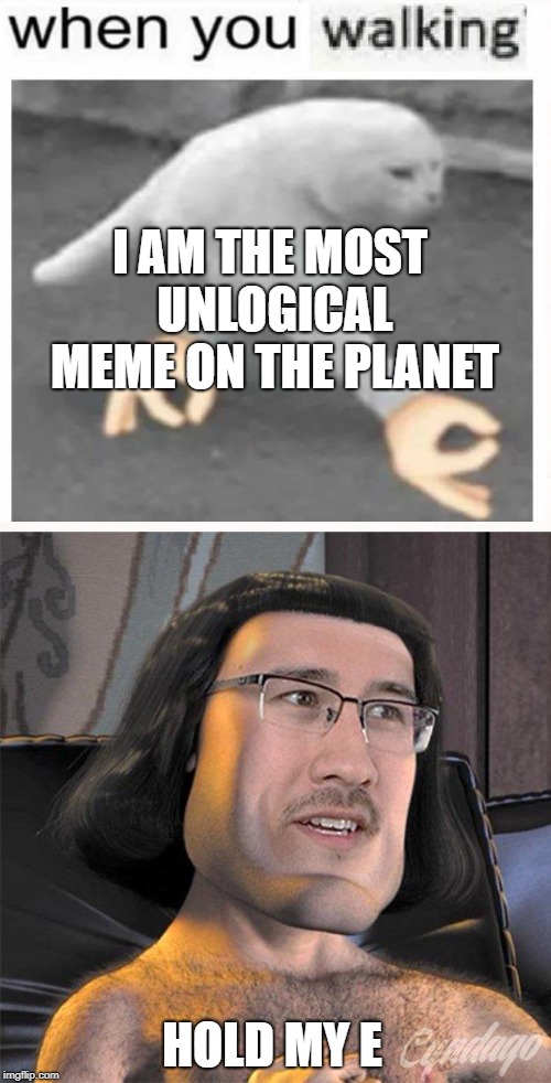 What are memes anymore anyway... | I AM THE MOST UNLOGICAL MEME ON THE PLANET; HOLD MY E | image tagged in memes,e,when you walkin,half-cat | made w/ Imgflip meme maker