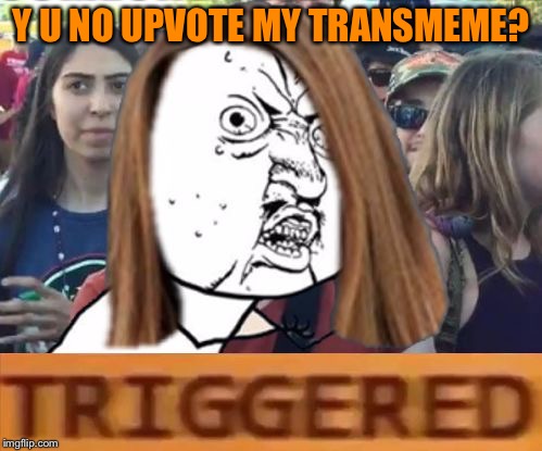 Y U No Triggered | Y U NO UPVOTE MY TRANSMEME? | image tagged in y u no triggered,memes,not sure what this memes identity is | made w/ Imgflip meme maker