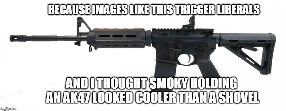 BECAUSE IMAGES LIKE THIS TRIGGER LIBERALS AND I THOUGHT SMOKY HOLDING AN AK47 LOOKED COOLER THAN A SHOVEL | made w/ Imgflip meme maker