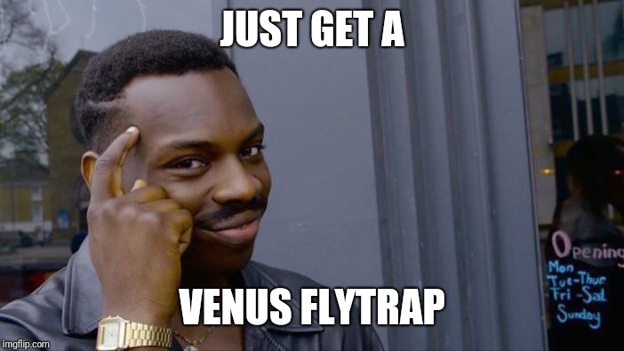 Roll Safe Think About It Meme | JUST GET A VENUS FLYTRAP | image tagged in memes,roll safe think about it | made w/ Imgflip meme maker