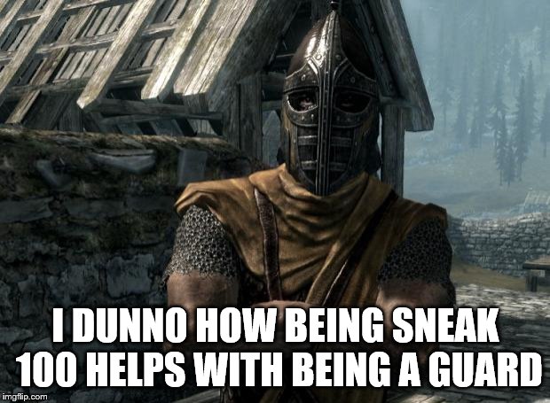 Skyrim guards be like | I DUNNO HOW BEING SNEAK 100 HELPS WITH BEING A GUARD | image tagged in skyrim guards be like | made w/ Imgflip meme maker