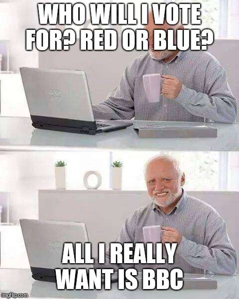 Hide the Pain Harold Meme | WHO WILL I VOTE FOR? RED OR BLUE? ALL I REALLY WANT IS BBC | image tagged in memes,hide the pain harold | made w/ Imgflip meme maker