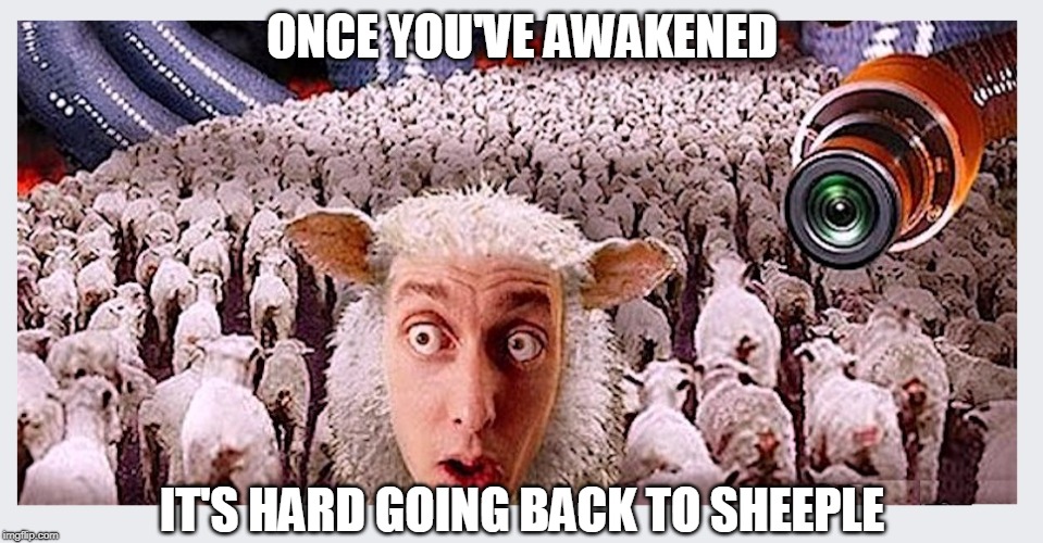 If you want to resist something act like an American and resist socialism! | ONCE YOU'VE AWAKENED; IT'S HARD GOING BACK TO SHEEPLE | image tagged in american politics,politics,sheeple,once you awaken | made w/ Imgflip meme maker
