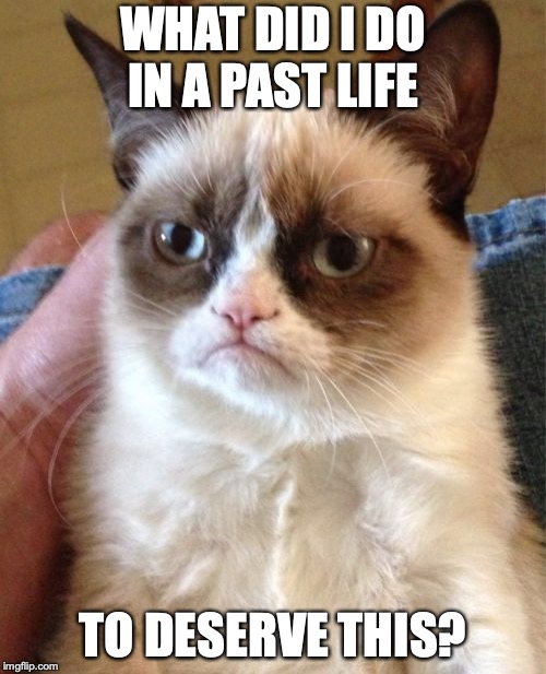 Grumpy Cat Meme | WHAT DID I DO IN A PAST LIFE; TO DESERVE THIS? | image tagged in memes,grumpy cat | made w/ Imgflip meme maker