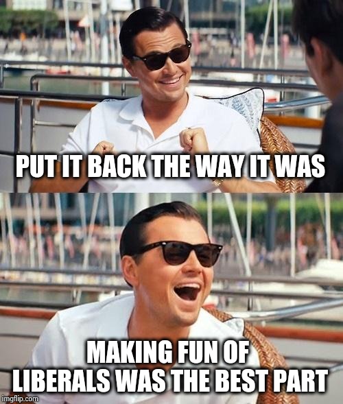 Leonardo Dicaprio Wolf Of Wall Street Meme | PUT IT BACK THE WAY IT WAS MAKING FUN OF LIBERALS WAS THE BEST PART | image tagged in memes,leonardo dicaprio wolf of wall street | made w/ Imgflip meme maker