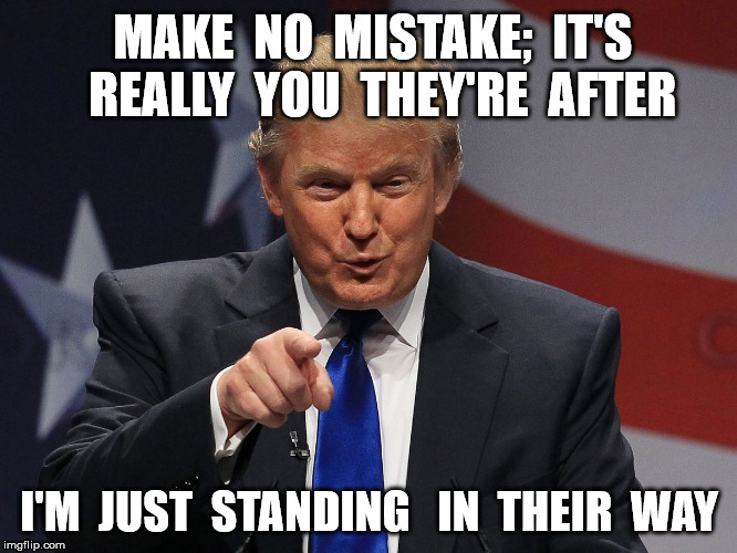 Donald trump | MAKE  NO  MISTAKE;  IT'S  REALLY  YOU  THEY'RE  AFTER; I'M  JUST  STANDING   IN  THEIR  WAY | image tagged in donald trump | made w/ Imgflip meme maker