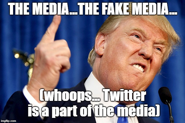 Now They're Getting Technical On Me, Dammit | THE MEDIA...THE FAKE MEDIA... (whoops... Twitter is a part of the media) | image tagged in donald trump,the media,twitter,memes | made w/ Imgflip meme maker