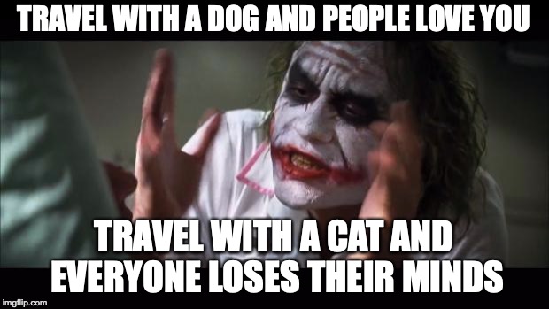 And everybody loses their minds Meme | TRAVEL WITH A DOG AND PEOPLE LOVE YOU; TRAVEL WITH A CAT AND EVERYONE LOSES THEIR MINDS | image tagged in memes,and everybody loses their minds | made w/ Imgflip meme maker