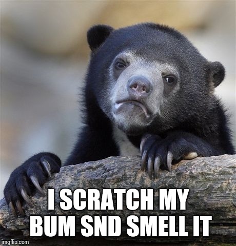 Confession Bear Meme | I SCRATCH MY BUM SND SMELL IT | image tagged in memes,confession bear | made w/ Imgflip meme maker