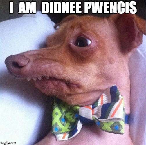 Tuna the dog (Phteven) |  I  AM  DIDNEE PWENCIS | image tagged in tuna the dog phteven | made w/ Imgflip meme maker