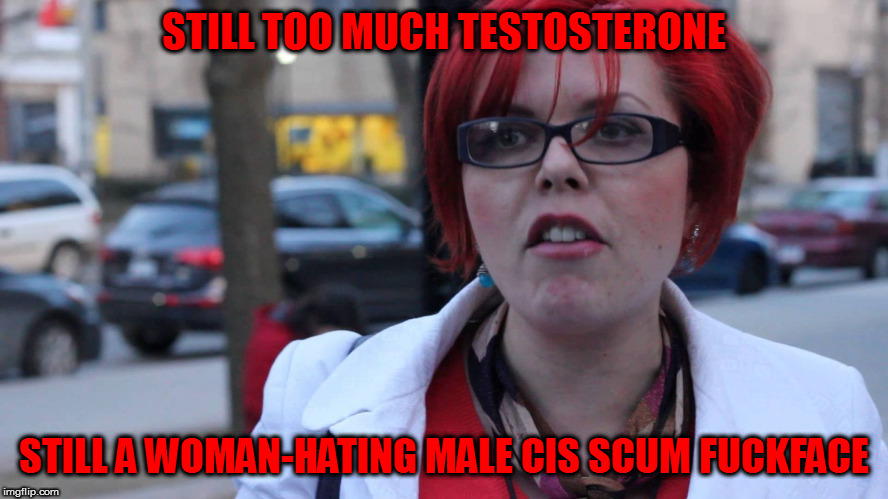 chanty binx | STILL TOO MUCH TESTOSTERONE STILL A WOMAN-HATING MALE CIS SCUM F**KFACE | image tagged in chanty binx | made w/ Imgflip meme maker