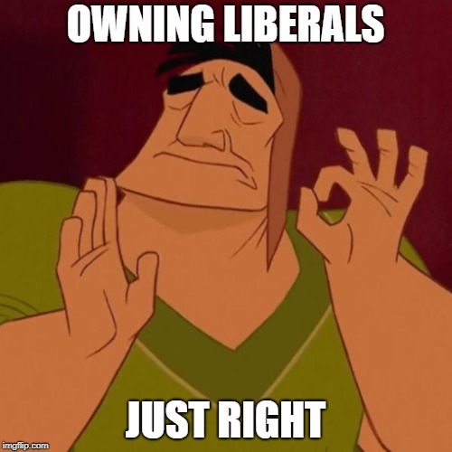 Pacha perfect | OWNING LIBERALS JUST RIGHT | image tagged in pacha perfect | made w/ Imgflip meme maker