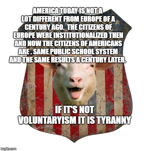 Sheep on American Shield | AMERICA TODAY IS NOT A LOT DIFFERENT FROM EUROPE OF A CENTURY AGO. 
THE CITIZENS OF EUROPE WERE INSTITUTIONALIZED THEN AND NOW THE CITIZENS OF AMERICANS ARE .
SAME PUBLIC SCHOOL SYSTEM AND THE SAME RESULTS A CENTURY LATER. IF IT'S NOT VOLUNTARYISM IT IS TYRANNY | image tagged in sheep on american shield | made w/ Imgflip meme maker