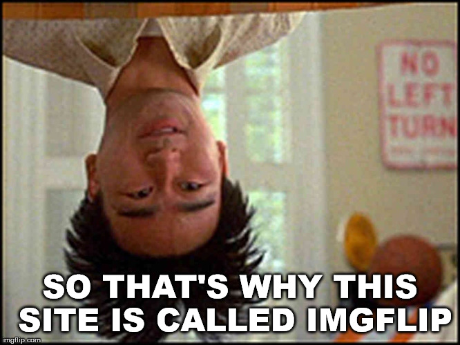 Why don't we flip images when we post? | SO THAT'S WHY THIS SITE IS CALLED IMGFLIP | image tagged in long duck dong upside down,front page | made w/ Imgflip meme maker