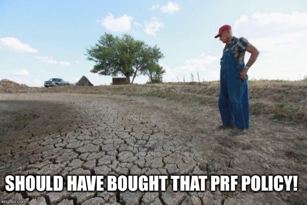 Drought Farmer | SHOULD HAVE BOUGHT THAT PRF POLICY! | image tagged in drought farmer | made w/ Imgflip meme maker