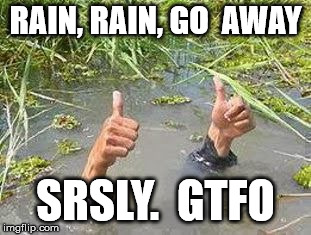 FLOODING THUMBS UP | RAIN, RAIN, GO  AWAY; SRSLY.  GTFO | image tagged in flooding thumbs up | made w/ Imgflip meme maker