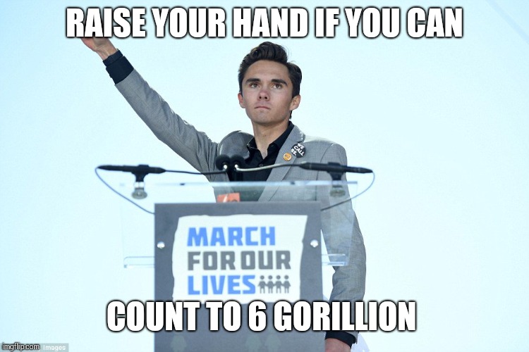 Heil David Hogg | RAISE YOUR HAND IF YOU CAN; COUNT TO 6 GORILLION | image tagged in heil david hogg | made w/ Imgflip meme maker
