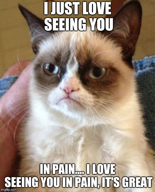 Grumpy Cat | I JUST LOVE SEEING YOU; IN PAIN.... I LOVE SEEING YOU IN PAIN, IT'S GREAT | image tagged in memes,grumpy cat | made w/ Imgflip meme maker