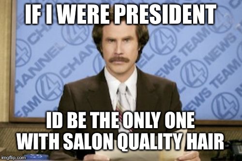 Ron Burgundy | IF I WERE PRESIDENT; ID BE THE ONLY ONE WITH SALON QUALITY HAIR | image tagged in memes,ron burgundy | made w/ Imgflip meme maker