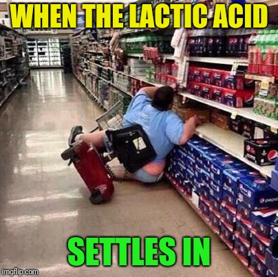 When the lactic acid settles in | WHEN THE LACTIC ACID; SETTLES IN | image tagged in fat person falling over,lactic acid,sore,memes,funny | made w/ Imgflip meme maker