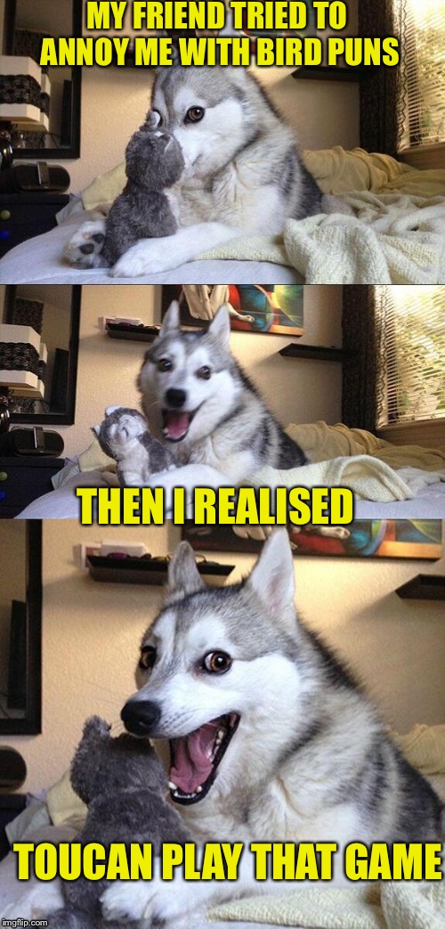 Probably the only time Bobby Brown has inspired anything... but here goes... | MY FRIEND TRIED TO ANNOY ME WITH BIRD PUNS; THEN I REALISED; TOUCAN PLAY THAT GAME | image tagged in memes,bad pun dog | made w/ Imgflip meme maker