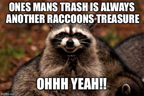 Evil Plotting Raccoon | ONES MANS TRASH IS ALWAYS ANOTHER RACCOONS TREASURE; OHHH YEAH!! | image tagged in memes,evil plotting raccoon | made w/ Imgflip meme maker