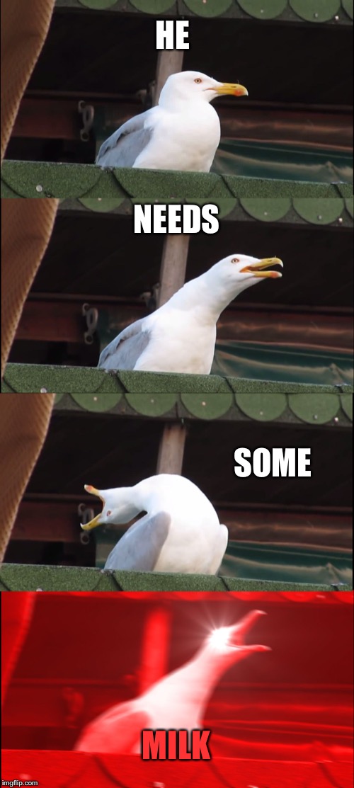 Inhaling Seagull | HE; NEEDS; SOME; MILK | image tagged in memes,inhaling seagull | made w/ Imgflip meme maker
