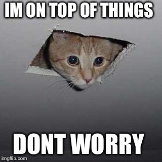 Ceiling Cat Meme | IM ON TOP OF THINGS; DONT WORRY | image tagged in memes,ceiling cat | made w/ Imgflip meme maker