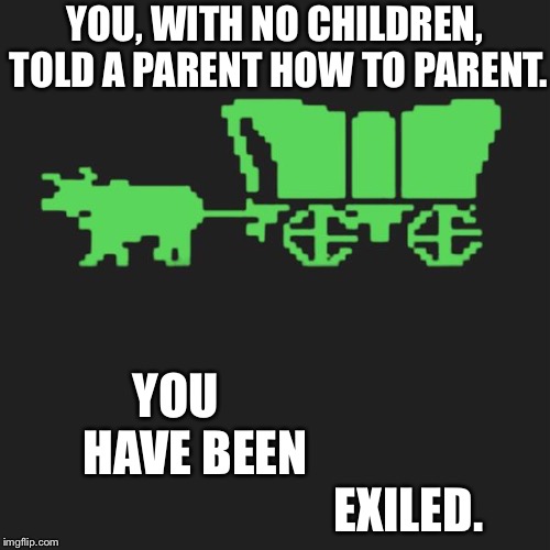 Oh, kay. | YOU, WITH NO CHILDREN, TOLD A PARENT HOW TO PARENT. YOU                       HAVE BEEN                                             EXILED. | image tagged in oregon trail,parenting,exiled,kids,hahaha,get lost | made w/ Imgflip meme maker