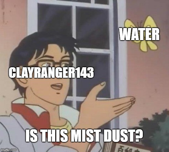 Is This A Pigeon | WATER; CLAYRANGER143; IS THIS MIST DUST? | image tagged in memes,is this a pigeon | made w/ Imgflip meme maker