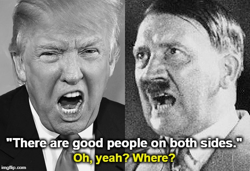 Trump turned over the rock and this is what crawled out. Trump owns it all. | "There are good people on both sides."; Oh, yeah? Where? | image tagged in trump,hitler | made w/ Imgflip meme maker