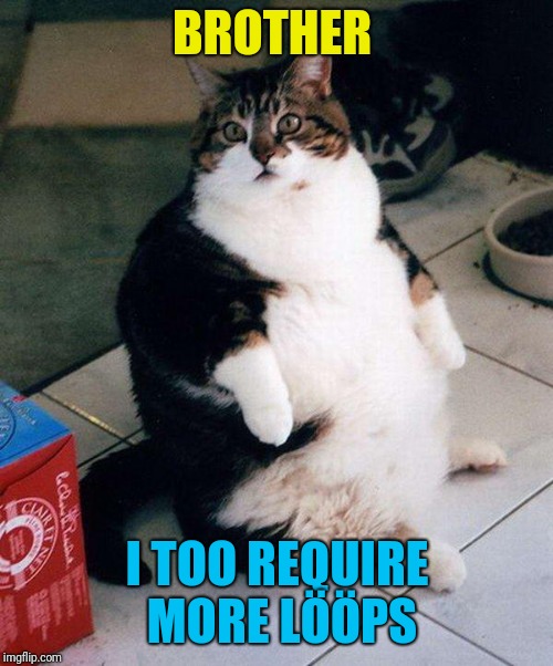 fat cat | BROTHER I TOO REQUIRE MORE LÖÖPS | image tagged in fat cat | made w/ Imgflip meme maker
