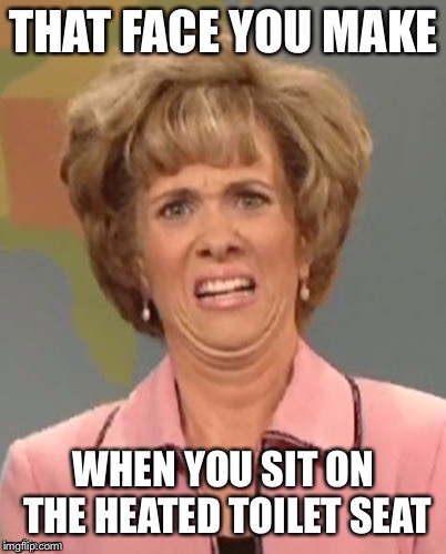yuck | THAT FACE YOU MAKE; WHEN YOU SIT ON THE HEATED TOILET SEAT | image tagged in yuck | made w/ Imgflip meme maker