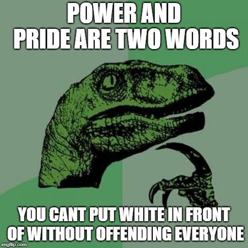 Any other word | POWER AND PRIDE ARE TWO WORDS; YOU CANT PUT WHITE IN FRONT OF WITHOUT OFFENDING EVERYONE | image tagged in not racist,liberal hypocrisy,stupid liberals | made w/ Imgflip meme maker