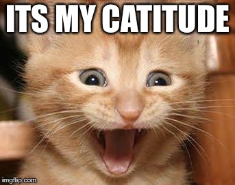 Excited Cat | ITS MY CATITUDE | image tagged in memes,excited cat | made w/ Imgflip meme maker