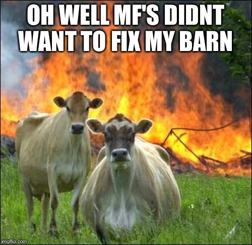 Evil Cows Meme | OH WELL MF'S DIDNT WANT TO FIX MY BARN | image tagged in memes,evil cows | made w/ Imgflip meme maker