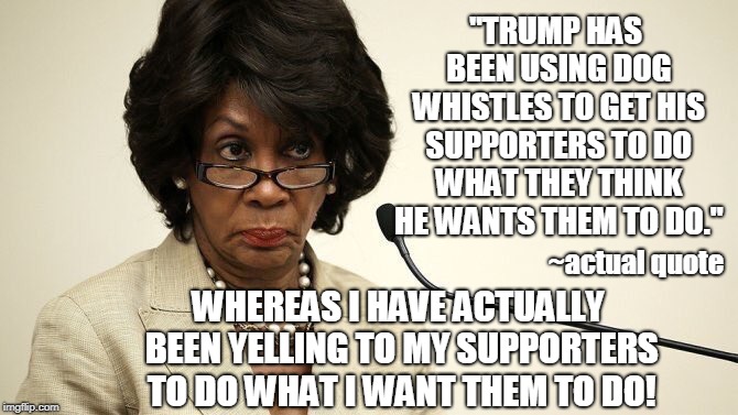 Maxine Waters Crazy | "TRUMP HAS BEEN USING DOG WHISTLES TO GET HIS SUPPORTERS TO DO WHAT THEY THINK HE WANTS THEM TO DO." WHEREAS I HAVE ACTUALLY BEEN YELLING TO | image tagged in maxine waters crazy | made w/ Imgflip meme maker