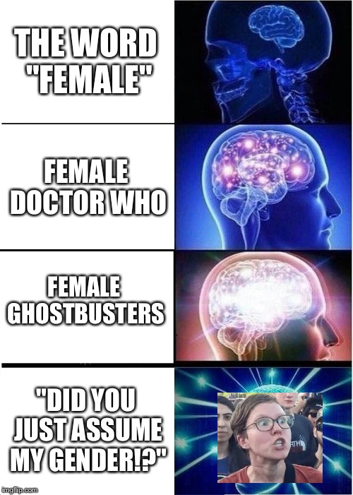 The brain reaction of a radical feminist | THE WORD "FEMALE"; FEMALE DOCTOR WHO; FEMALE GHOSTBUSTERS; "DID YOU JUST ASSUME MY GENDER!?" | image tagged in memes,expanding brain,feminism | made w/ Imgflip meme maker